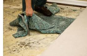 removing wet carpeting