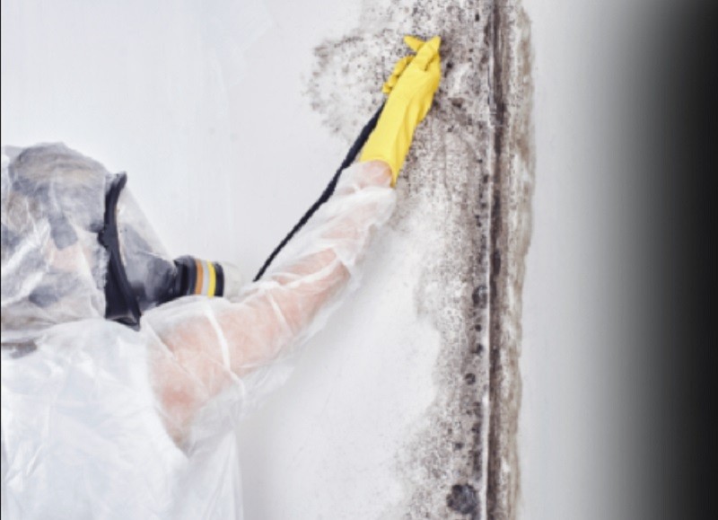 SMART Environmental Services Commercial Mold Remediation in Kansas City blog
