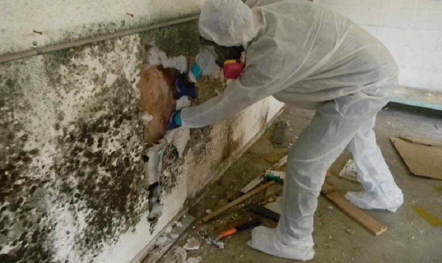 SMART Environmental Services Mold Removal in Kansas City Free Inspections Free Estimates blog