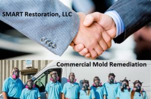 SMART Environmental Services Commercial Mold Remediation in Kansas City Customer Service blog