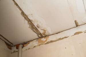 Commercial mold remediation is necessary after moisture problems