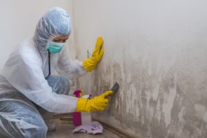 Female worker of cleaning service removes mold from wall using s