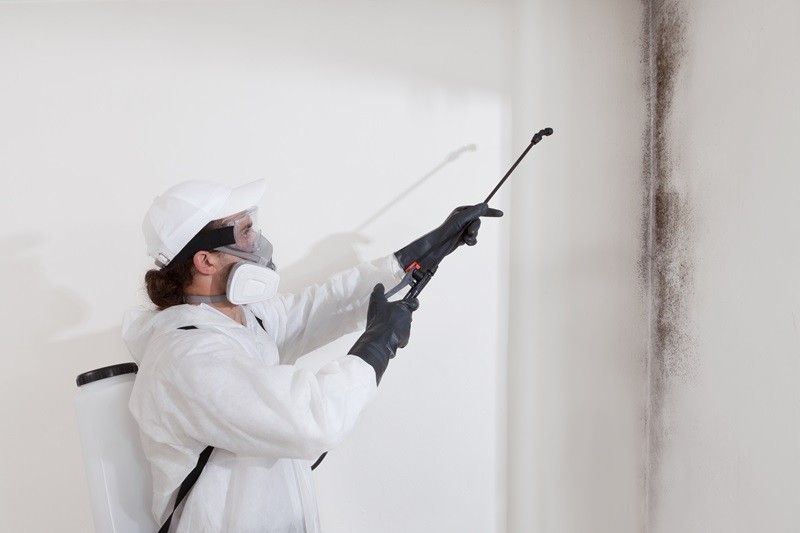 Commercial Mold Remediation SMART Environmental Services Kansas City AdobeStock_865263100