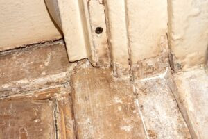 Cleaning of wooden surfaces from old paint.Removing paint from doors and surfaces.Renovation of old doors. lead removal Kansas City SMART Environmental Services AdobeStock_1113549857