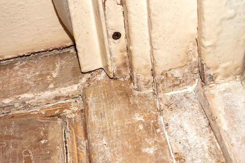 Cleaning of wooden surfaces from old paint.Removing paint from doors and surfaces.Renovation of old doors. lead removal Kansas City SMART Environmental Services AdobeStock_1113549857