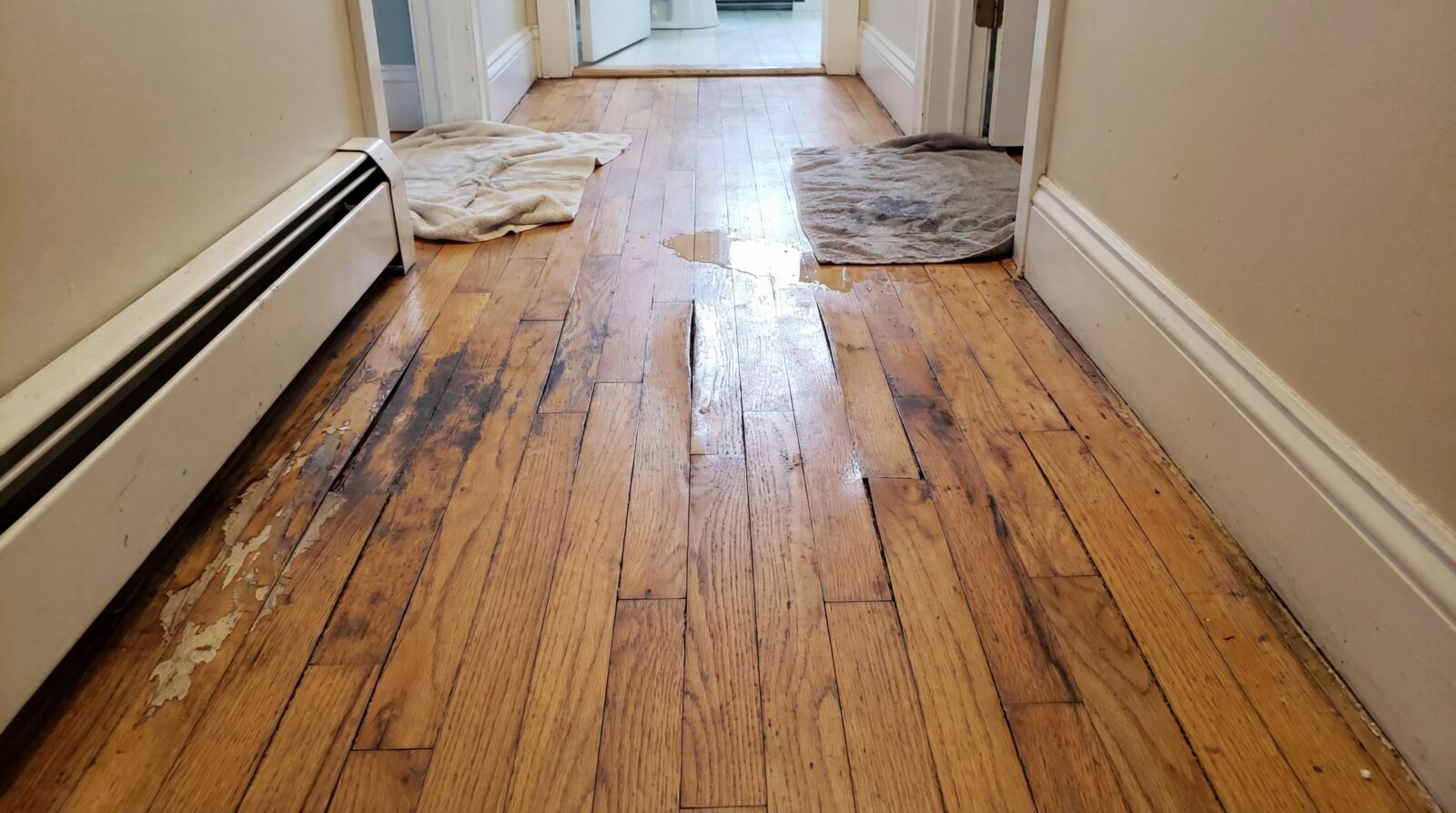 Water damage restoration and hardwood flooring repair assessment for residential property maintenance through emergency cleanup services and home renovation project planning requirements
Adobe_1886333894_Digital advertising REAL Moxie LLC