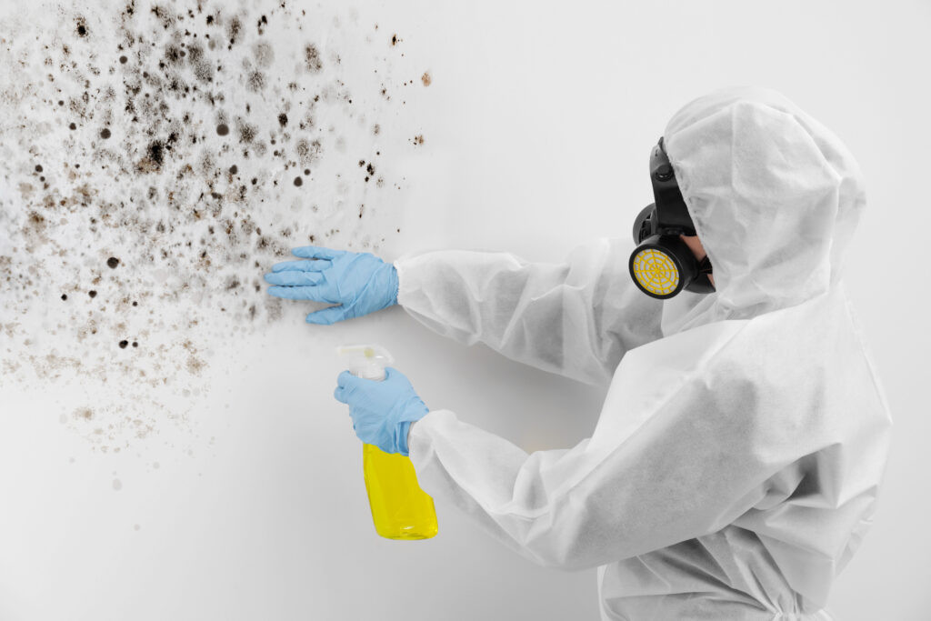 Woman in protective suit and rubber gloves using mold remover on wall By Digital advertising REAL Moxie LLC_NewAfrica_602847728_